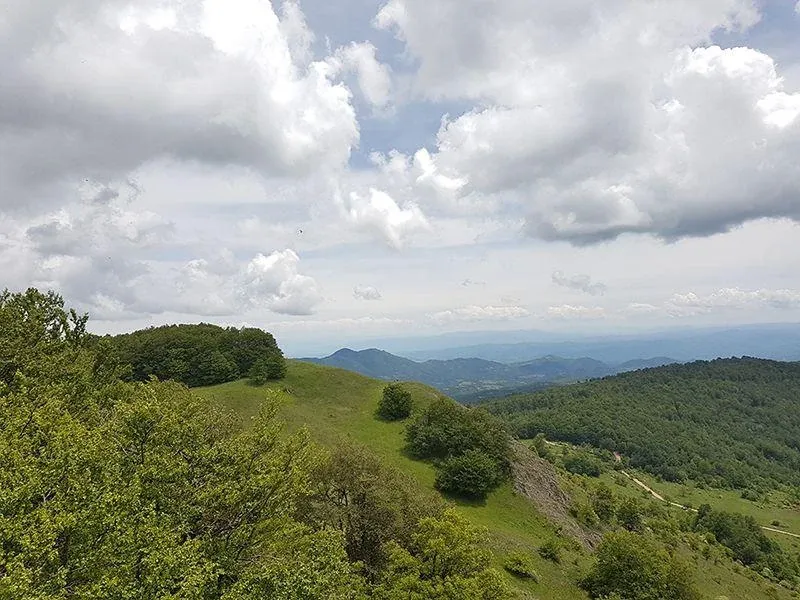 Zeleni pejzaž planine Radan